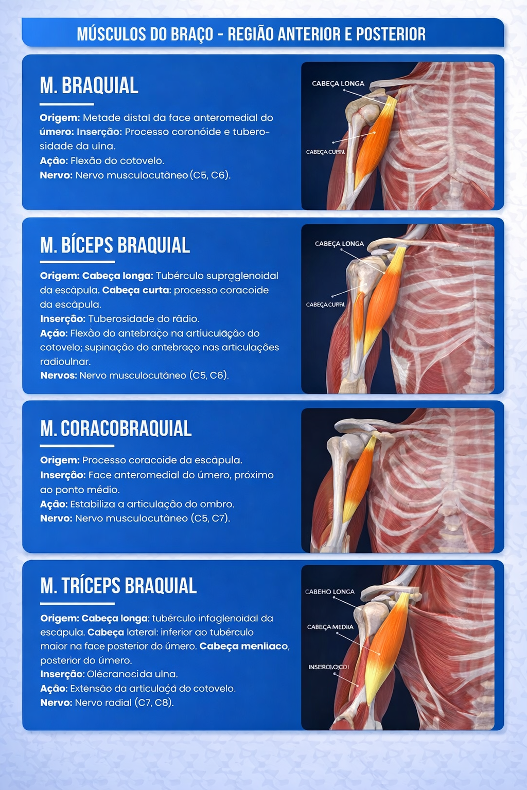 Amostra do Material - Página 1
