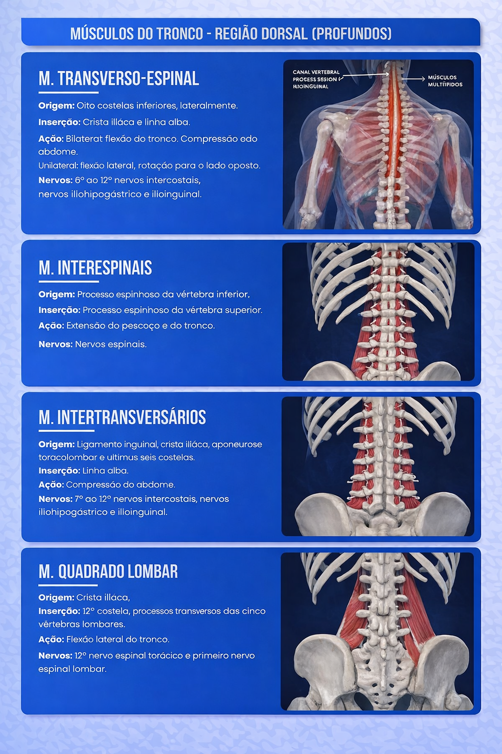 Amostra do Material - Página 2